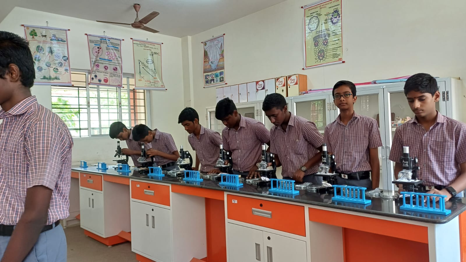 Laboratory Image 7